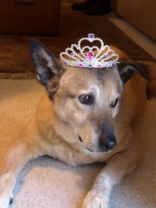 Princess Max