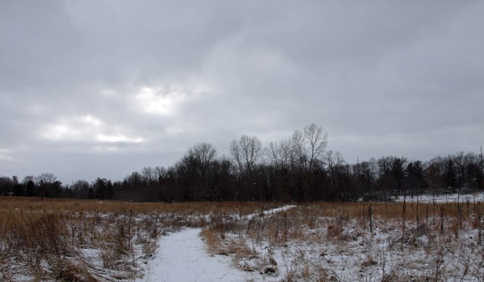 Fenner Nature Center, January 2016