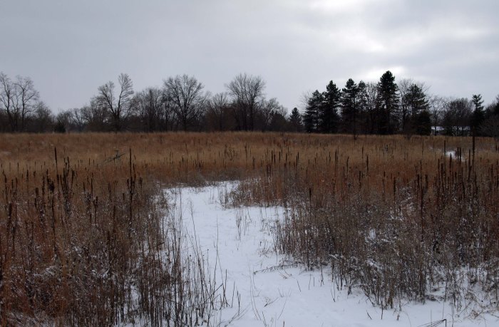 Fenner Nature Center, January 2016