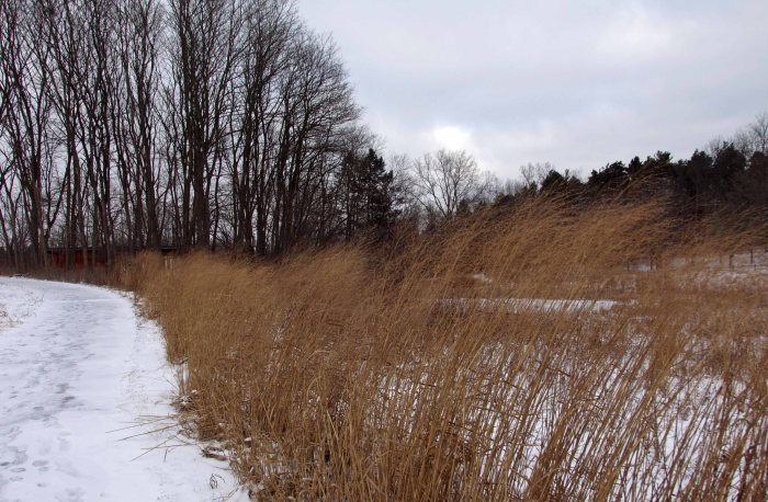 Fenner Nature Center, January 2016