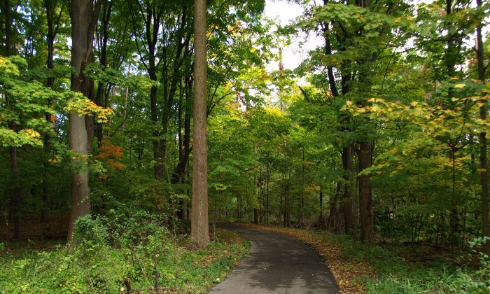 Fenner Nature Center