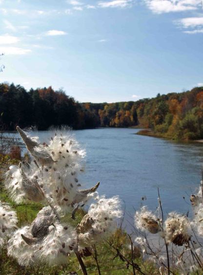 Manistee River near Red Bridge, October 2016