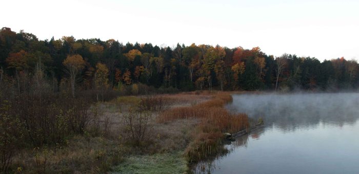 Along the misty Manistee River, Lower Peninsula, October 2016